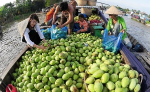 Đã kết nối được gần 500 hợp tác xã, tổ hợp tác tham gia