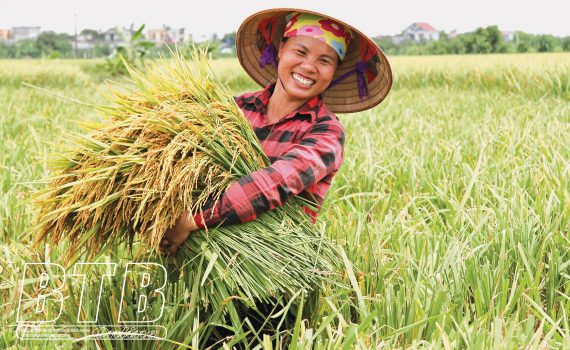 Kinh tế tập thể, HTX đã có những tiến bộ cả về lượng và chất khẳng định được tiềm năng, triển vọng phát triển trong tương lai