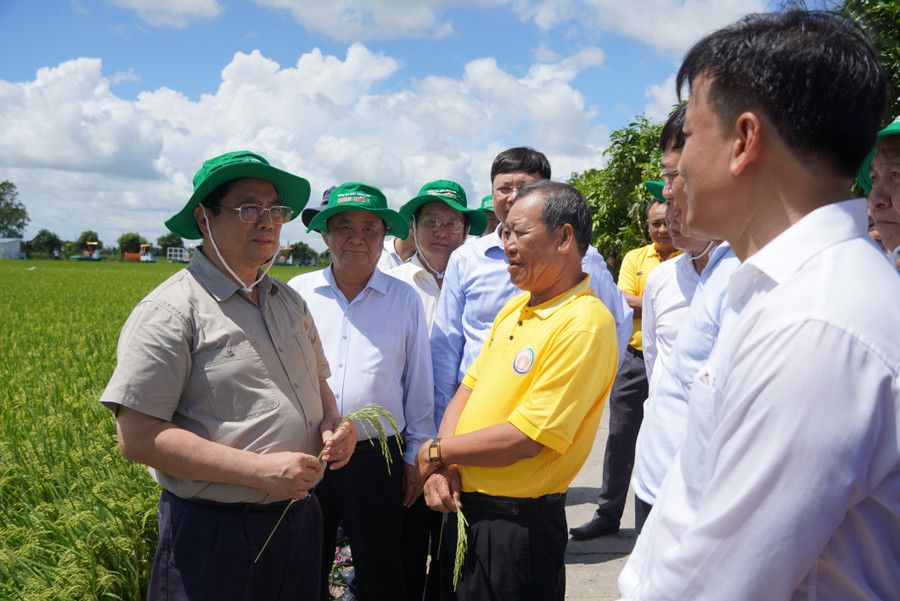 Đồng Tháp nâng cao năng lực cho hợp tác xã trước thách thức biến đổi khí hậu