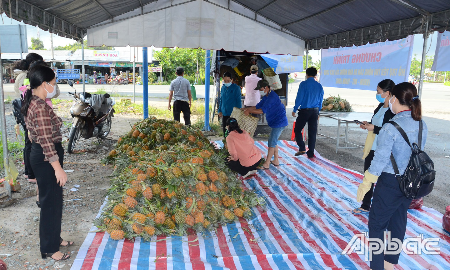 Tiền Giang: Kết nối tiêu thụ nông sản