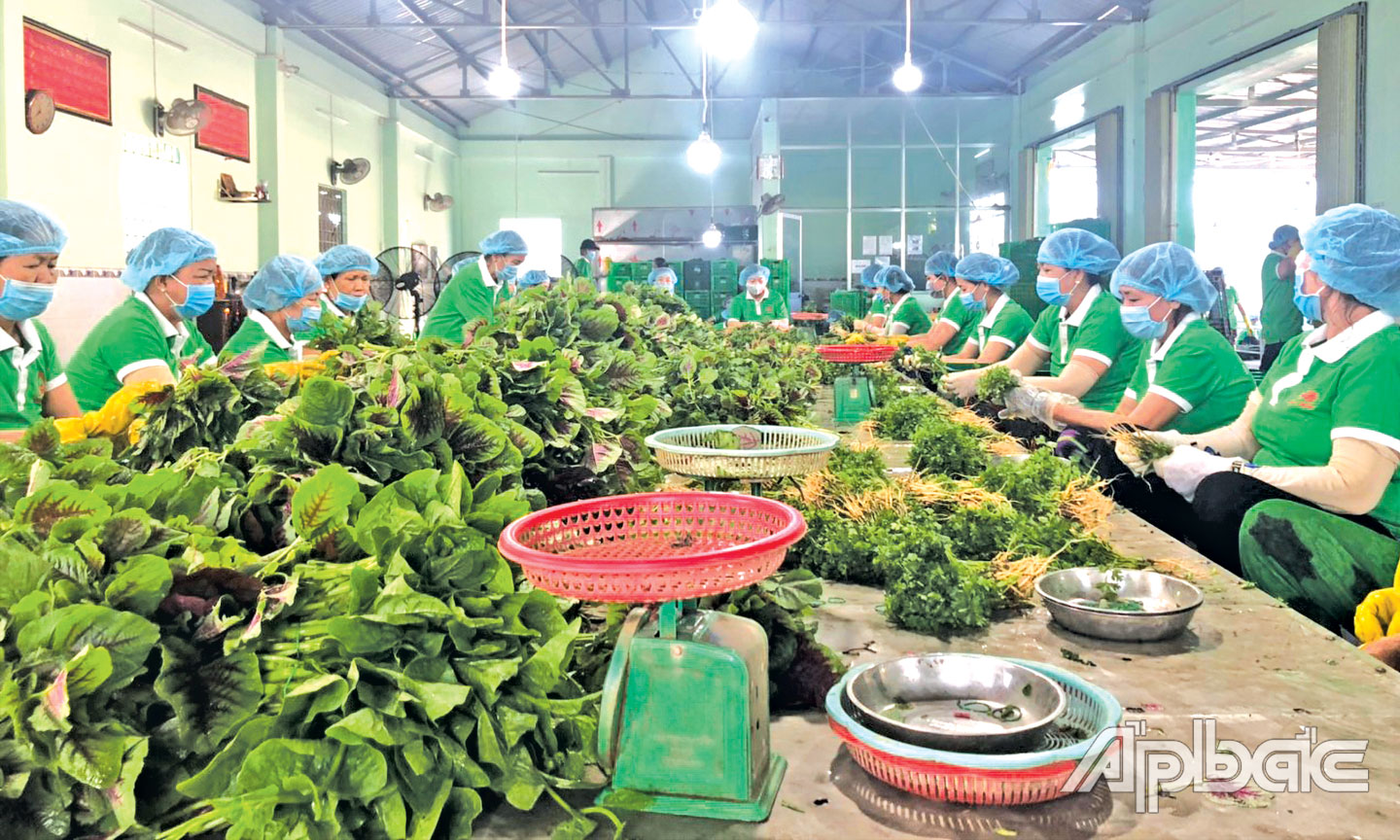 Giải "bài toán" liên kết sản xuất: Bài 1 - Những tín hiệu tích cực