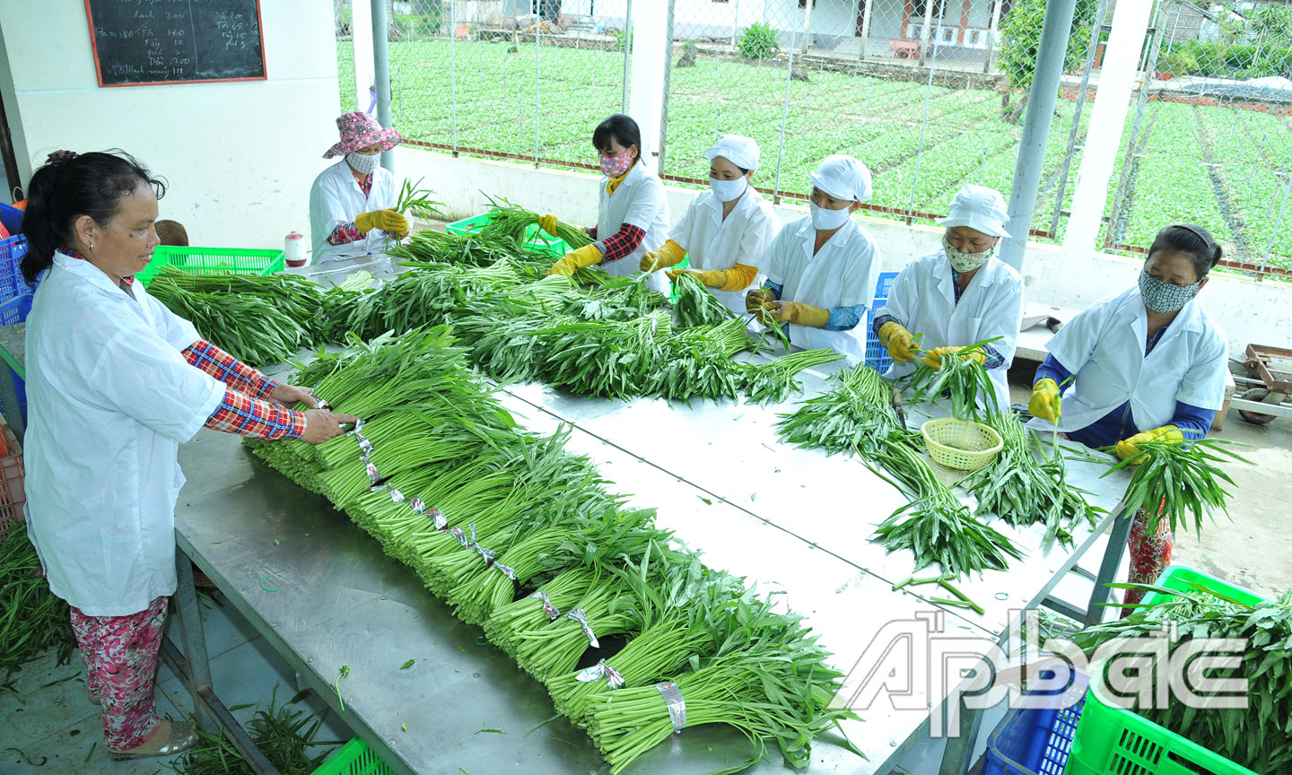 Liên kết chặt để kiến tạo giá trị nông sản