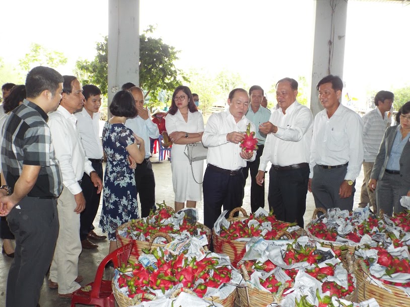 05 năm đồng hành cùng kinh tế tập thể, hợp tác xã