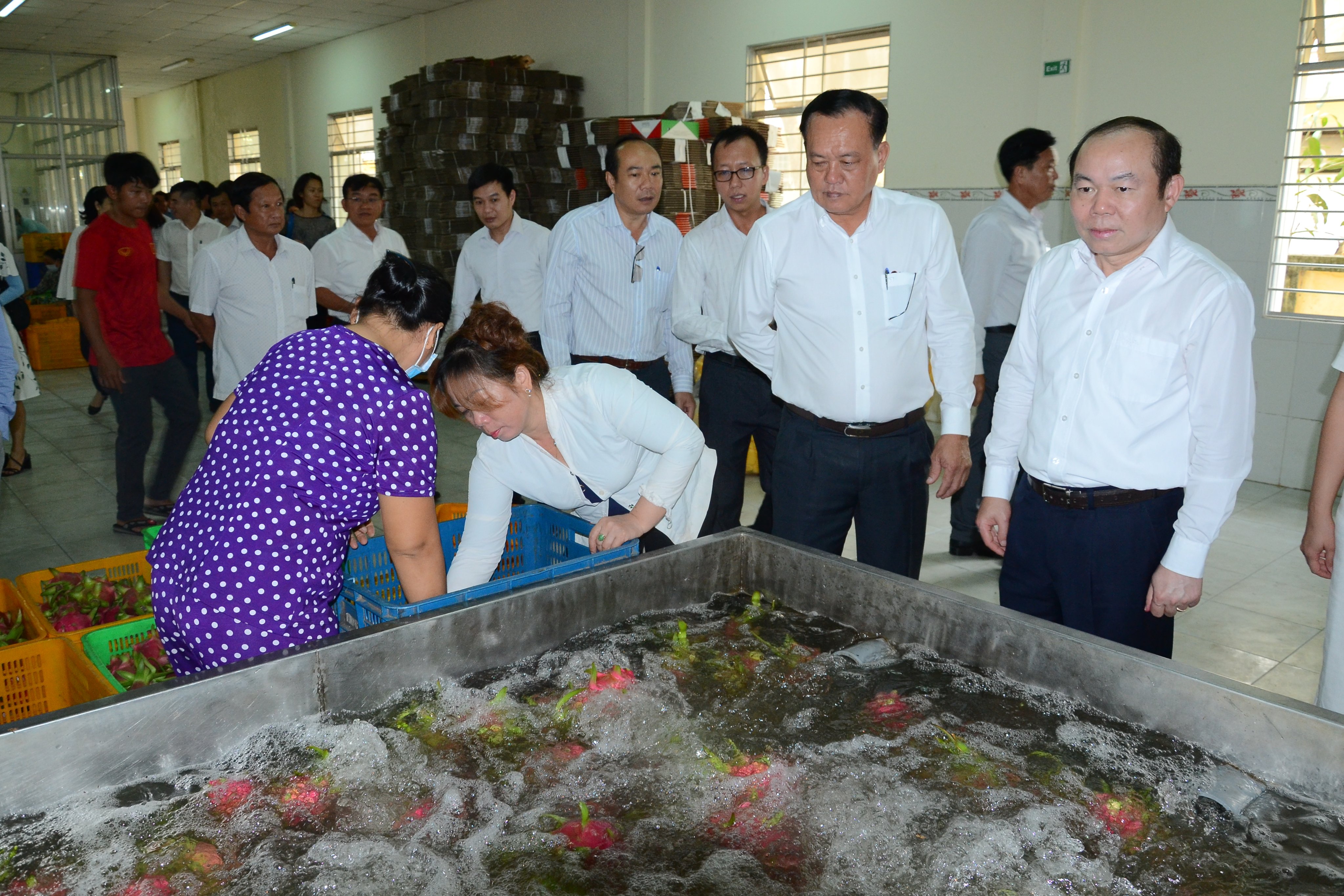 LIÊN MINH HỢP TÁC XÃ TỈNH TIỀN GIANG: Đồng hành cùng kinh tế tập thể phát triển bền vững